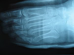 o0150011210251154405.jpg